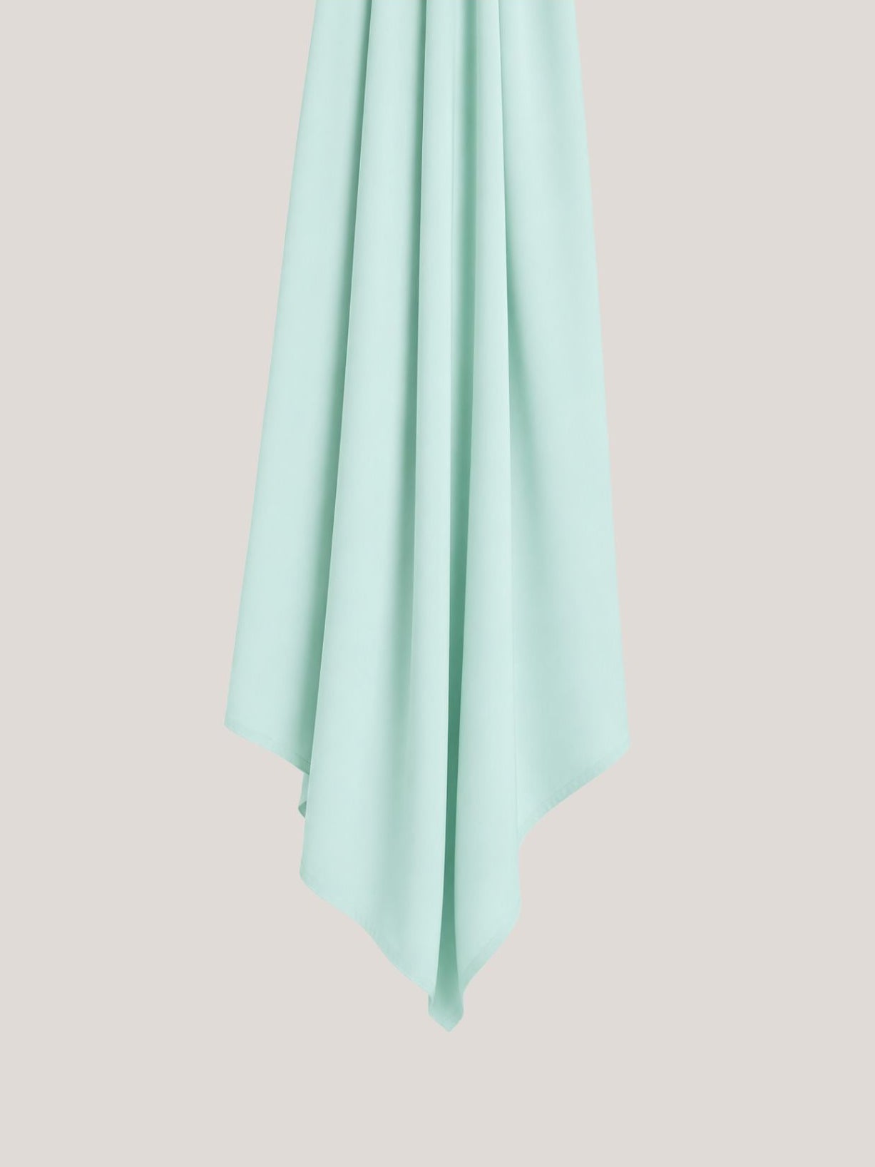 Bamboo Sage mint